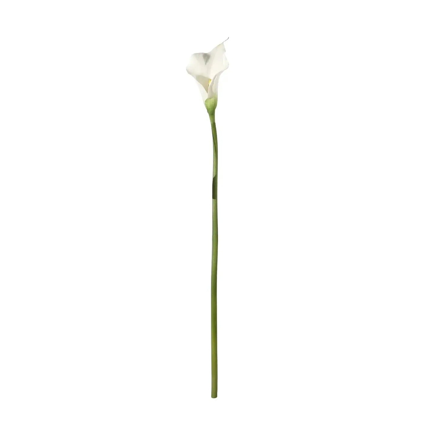 Botanica White Calla Lily (60cm)