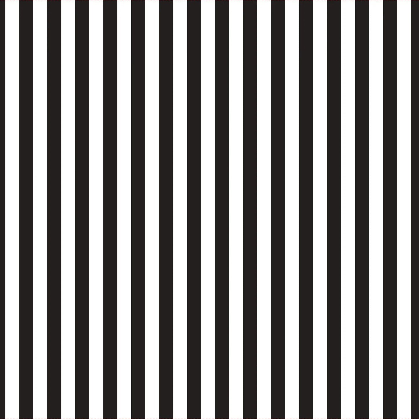 Clear Black Stripe Cello Wrap (80cm x 50m)