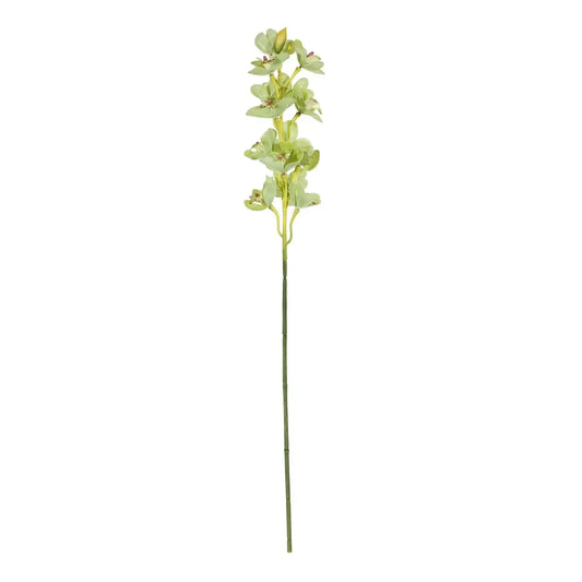 Botanica Green Cymbidium Orchid (76cm)