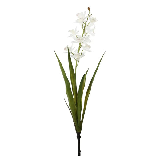 Botanica Mini White Cymbidium Plant (45cm)