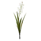Botanica Mini White Cymbidium Plant (45cm)