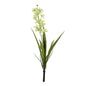 Botanica Mini Green Cymbidium Plant (45cm)