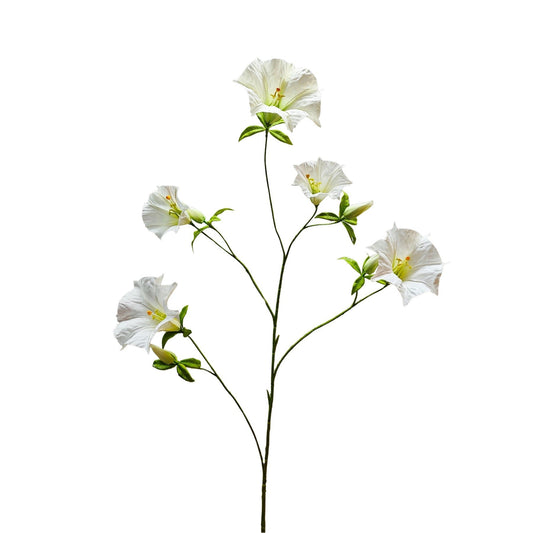 Botanica Cream Sundaville (113cm)