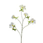 Botanica Cream Sundaville (113cm)