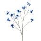 Botanica Blue Edelweiss (123cm)