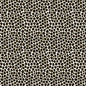 Black Animal Instinct Frosted Cello Film (80cm x 50m)