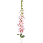 Light Pink Wild Foxglove