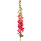 Dark Pink Wild Foxglove