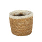 Natural and Silver Hogla Basket With Liner (12 x 12cm)
