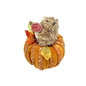 Squirrel in a Pumpkin (16cm)