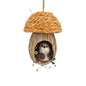 Squirrel in a Mushroom House (15cm)