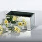 Mirror Rectangular Trough Planter (20cm L)