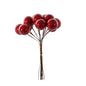 Discover the Red Shiny Small Berry Bunch Pick (11cm) at Bristow Direct