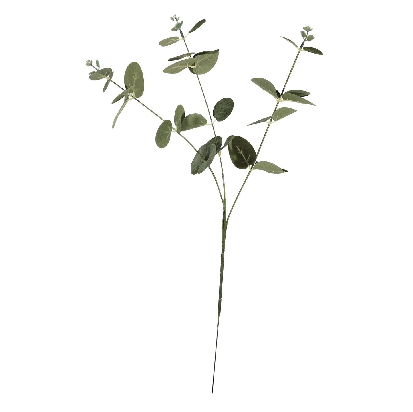 Essential Silver/Green Eucalyptus