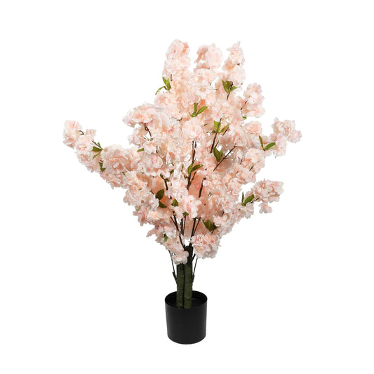 Discover the Essential Pink Blossom Tree (80cm) at Bristow Direct