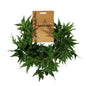 Essential Green Acer Palmatum Garland (180cm)