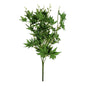 Essential Green Acer Palmatum Bush