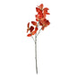 Essential Orange Chestnut Leaves (120cm)