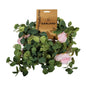 Essential Pink Rose Mixed Garland