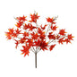 Essential Red Acer Palmatum Bush
