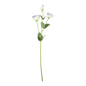 Essential Cream/Purple Lisianthus