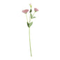 Essential Blush Lisianthus