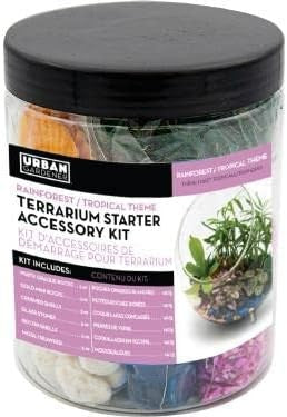 Terrarium Filler Kit - Rainforest Tropical Theme