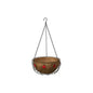 Ladybird Hanging Basket With Coco Liner (14 Inch)