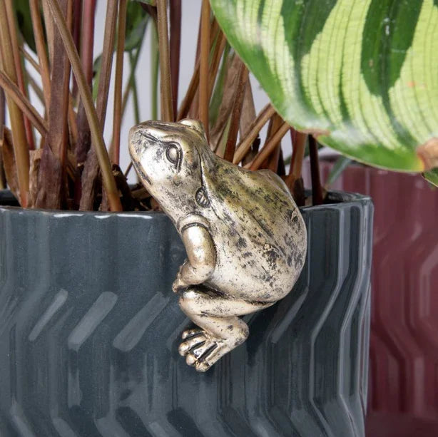 Plant Pot Pals - Frog