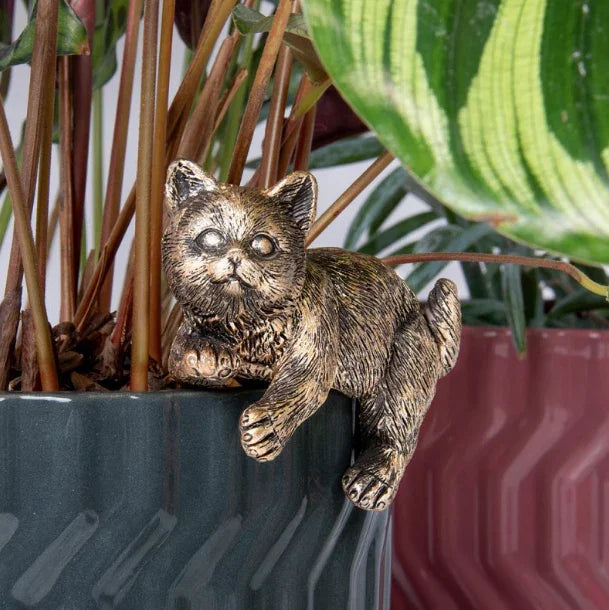 Plant Pots Pals - Cat