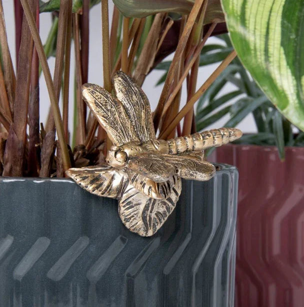 Plant Pot Pals -  Dragonfly