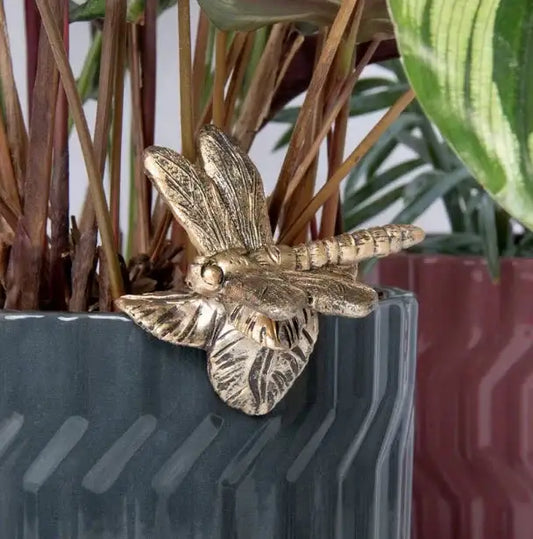 Plant Pot Pals -  Dragonfly