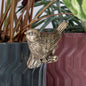 Plant Pot Pals - Robin