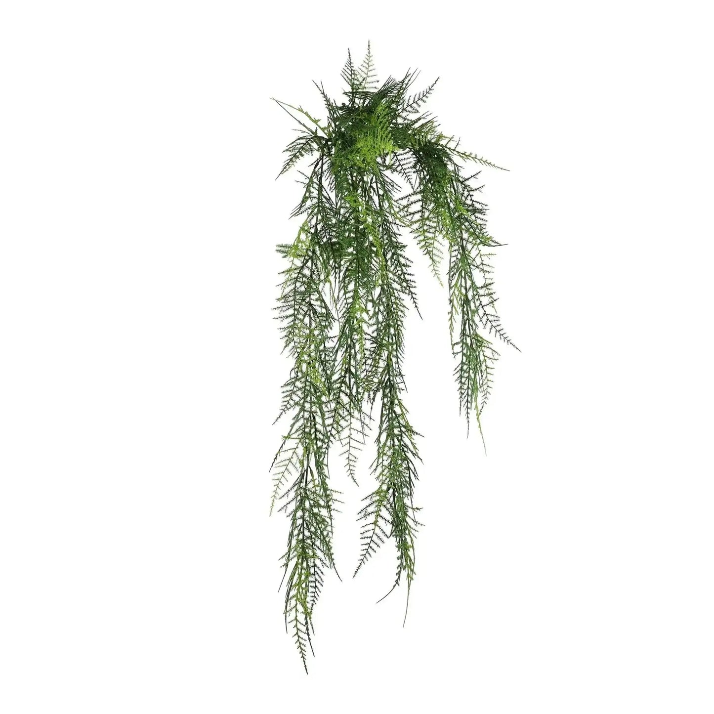 UV Exterior Junglist Asparagus Bush (83cm)