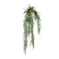 UV Exterior Junglist Asparagus Bush (83cm)