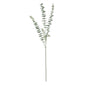 Essential Grey Eucalyptus Spray