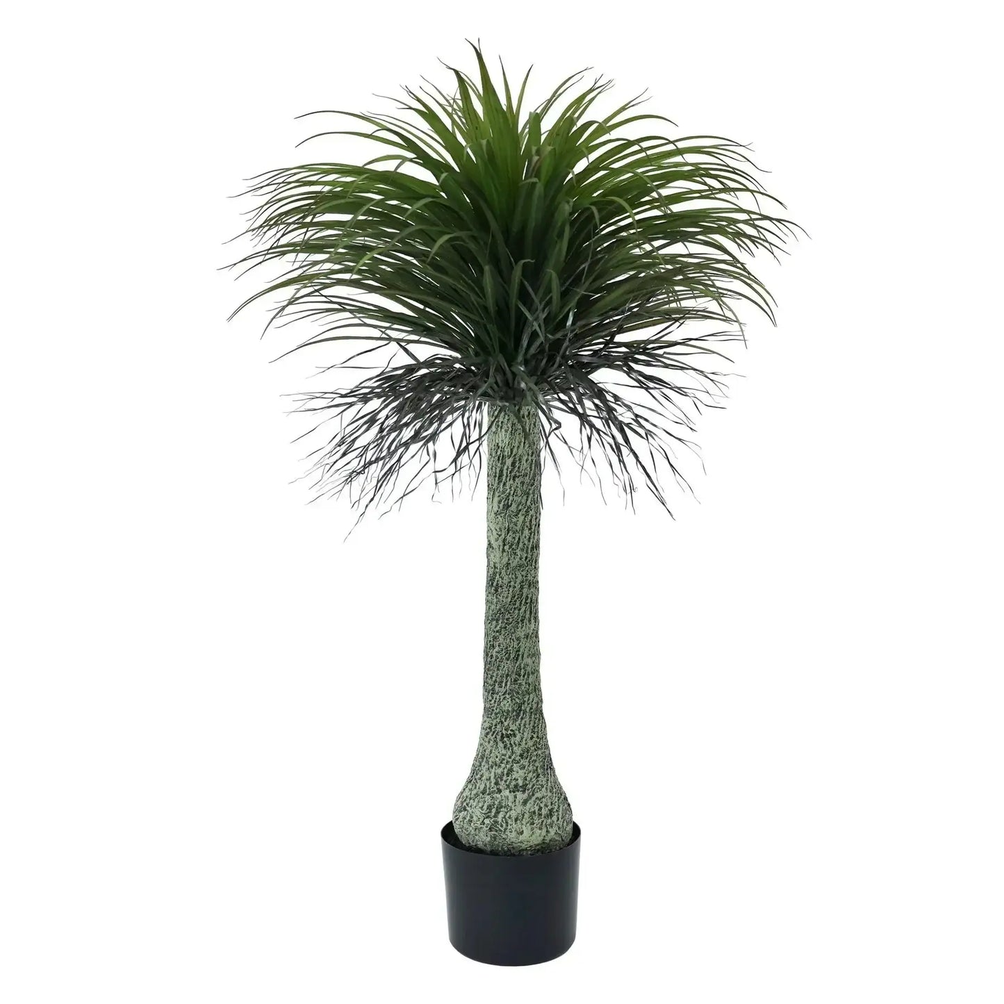 Botanica Yucca Tree in Pot (135cm)