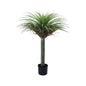 Botanica Yucca Tree in Pot (105cm)
