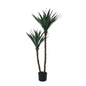 Botanica Yucca Tree in Pot (120cm)