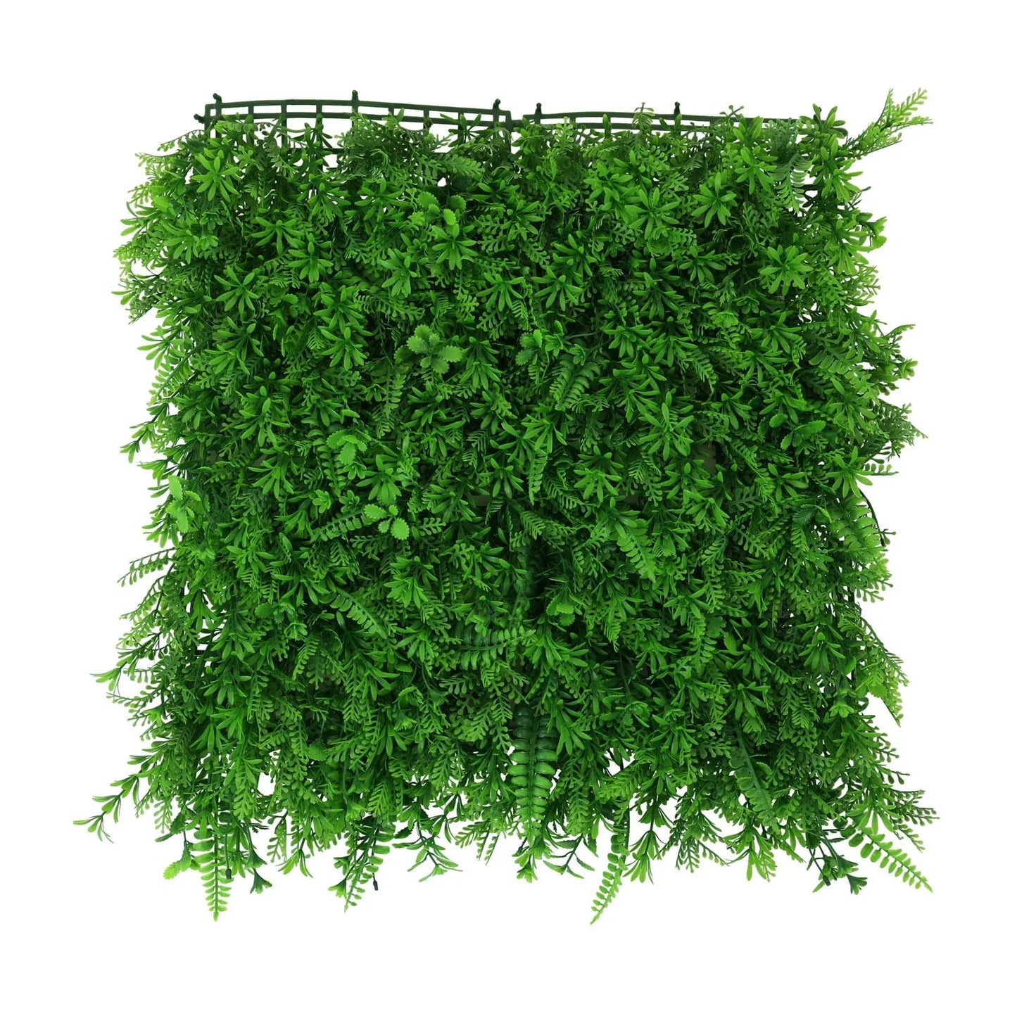 Green Mini Fern Wall (50x50cm)
