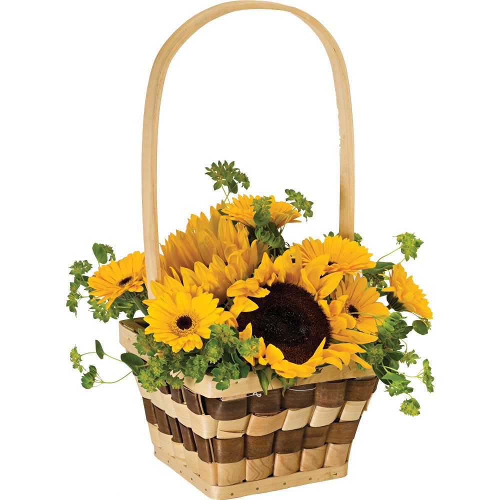 Check Mate Basket