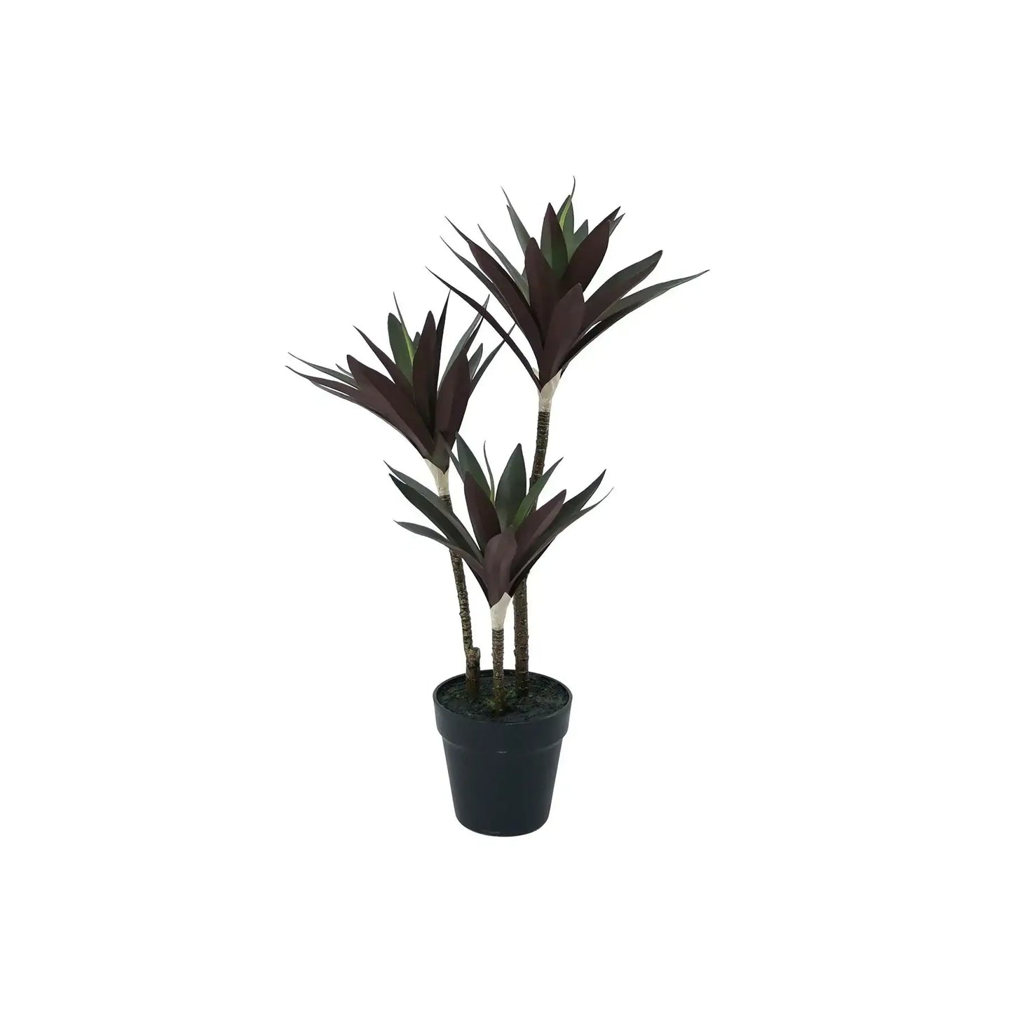Botanica Yucca Tree in Pot (63cm)