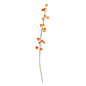 Botanica Orange Fruit Branch (144cm)