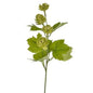 Green Hop Pick (33cm)