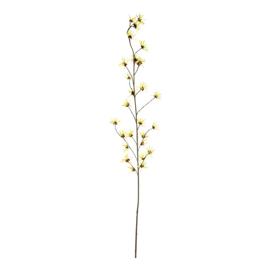 Botanica Yellow Hamamelis Branch (153cm)