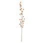 Botanica Orange Hamamelis Branch (153cm)
