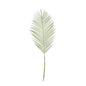 Botanica Areca Palm Frond (74cm)