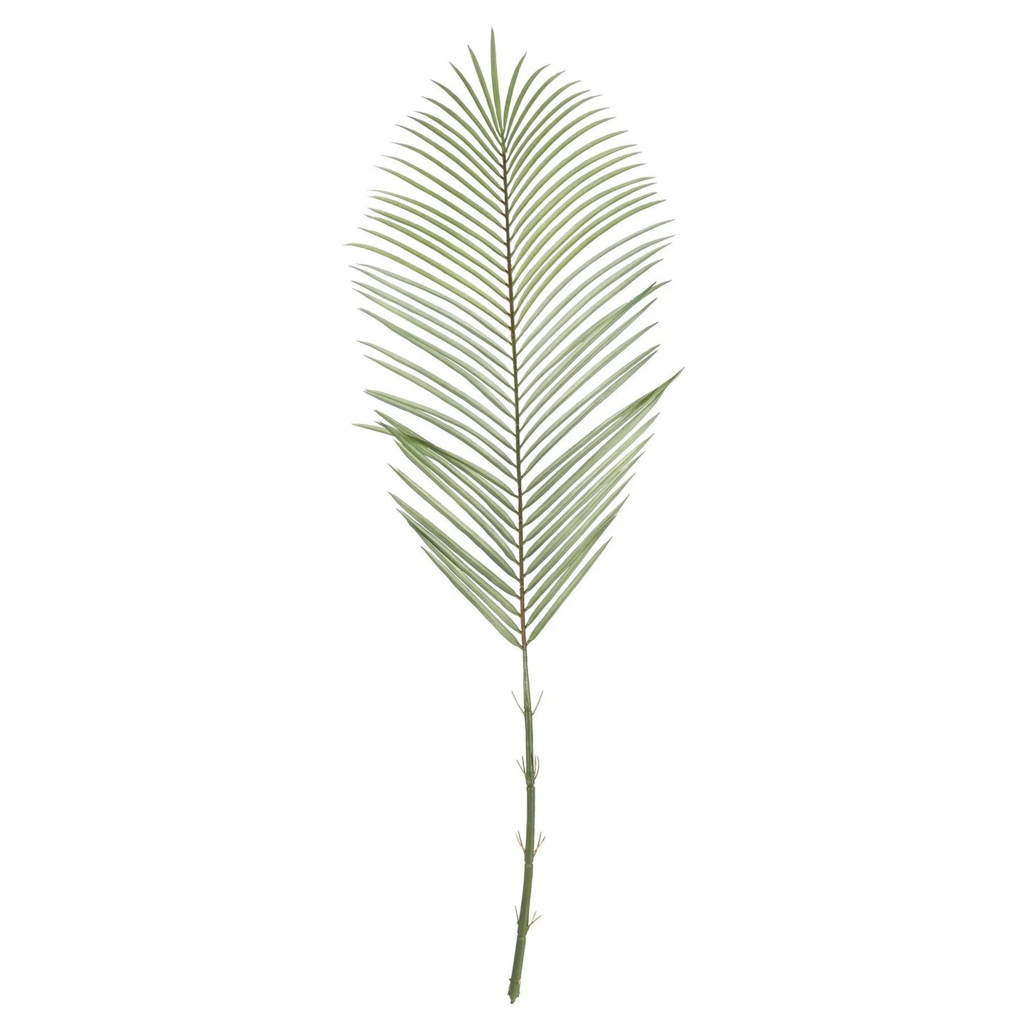 Green Areca Palm Frond (114cm)