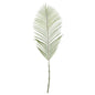 Green Areca Palm Frond (114cm)