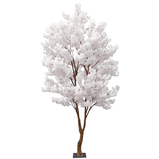 White Sakura Blossom Tree (2.8m)